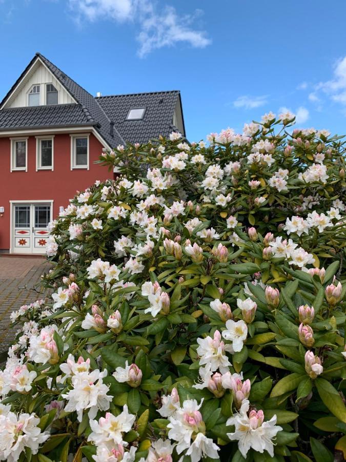 Ferienwohnung Strandgut - Kavelweg 9 - Zingst Exteriör bild