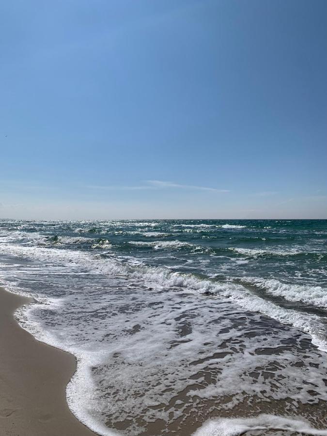 Ferienwohnung Strandgut - Kavelweg 9 - Zingst Exteriör bild