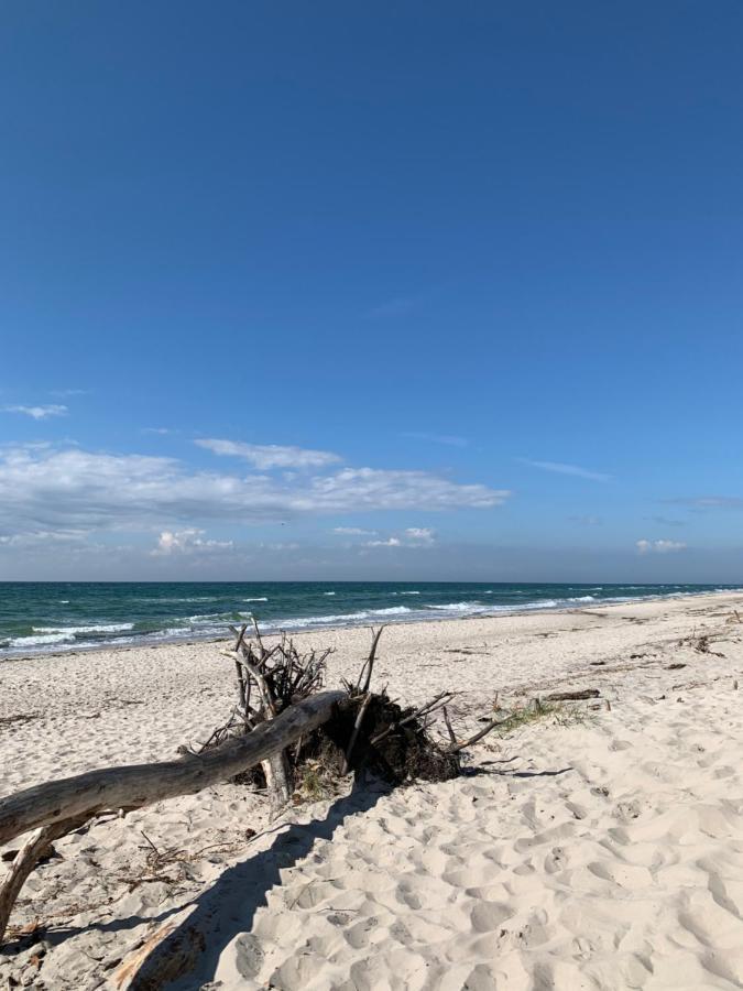 Ferienwohnung Strandgut - Kavelweg 9 - Zingst Exteriör bild